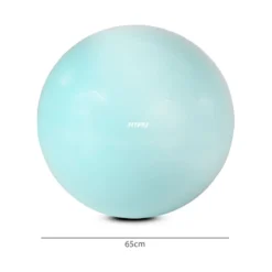 Front Page -FitGear Store fitfiu fitness fitball pat fitball 1