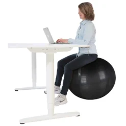 Front Page -FitGear Store gymstick active sitting ball 1