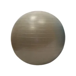 Gymball 55Cm