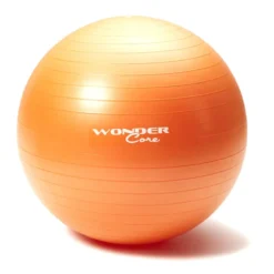 Anti-Burst Gym Ball 65Cm